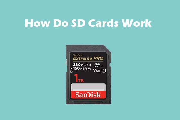 How Do SD Cards Work and How to Use Them on Different Devices?