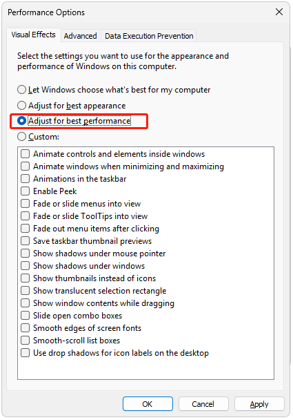 The interface of Performance Options with selected Adjust for best performance.