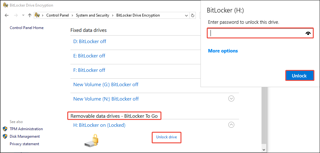 The BitLocker Drive Encryption interface with Unlock drive selected, showing the password entry screen.