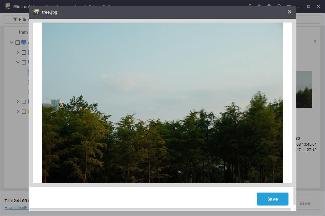The preview interface in MiniTool Power Data Recovery showing the trees and sky for file verification.
