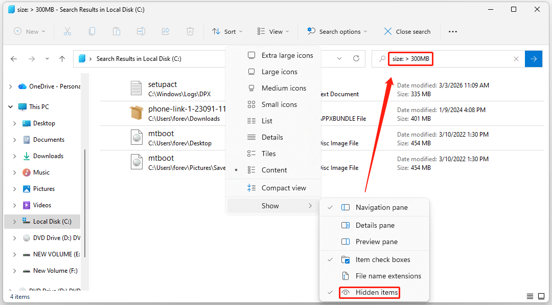 The File Explorer window with the Hidden items and size larger than 300MB options selected.