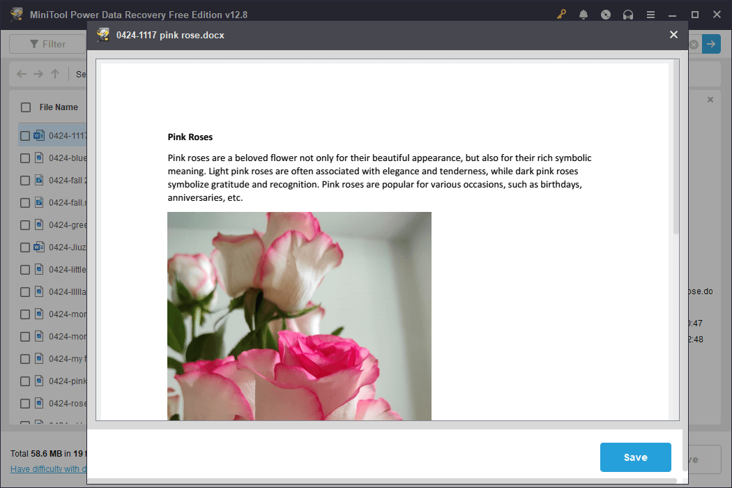 MiniTool Power Data Recovery preview window displaying a Word document.