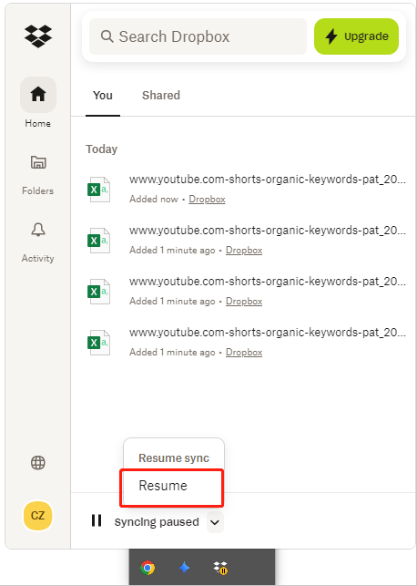 The interface of Dropbox with selected Resume.