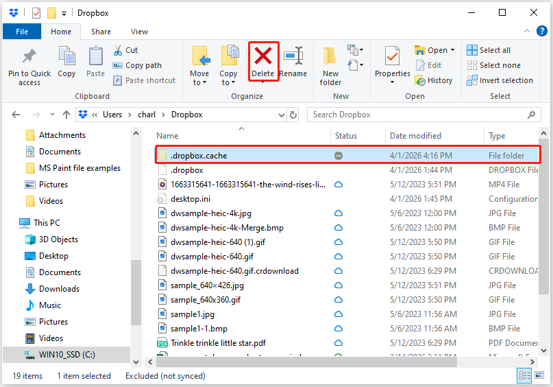The Dropbox folder in File Explorer with selected Dropbox cache folder and Delete.