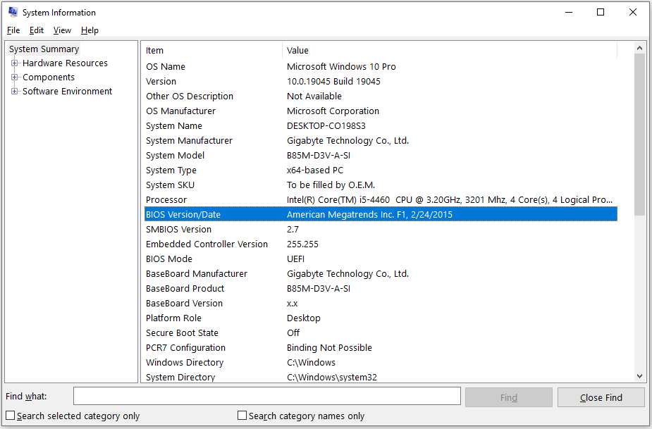 The interface of System Information with highlighted BIOS Version/Date.