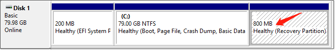 Disk Management interface showing the recovery partition.