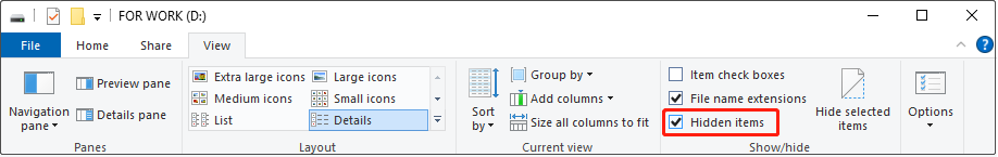 File Explorer interface showing the View tab for the D drive, with the Hidden items option checked.