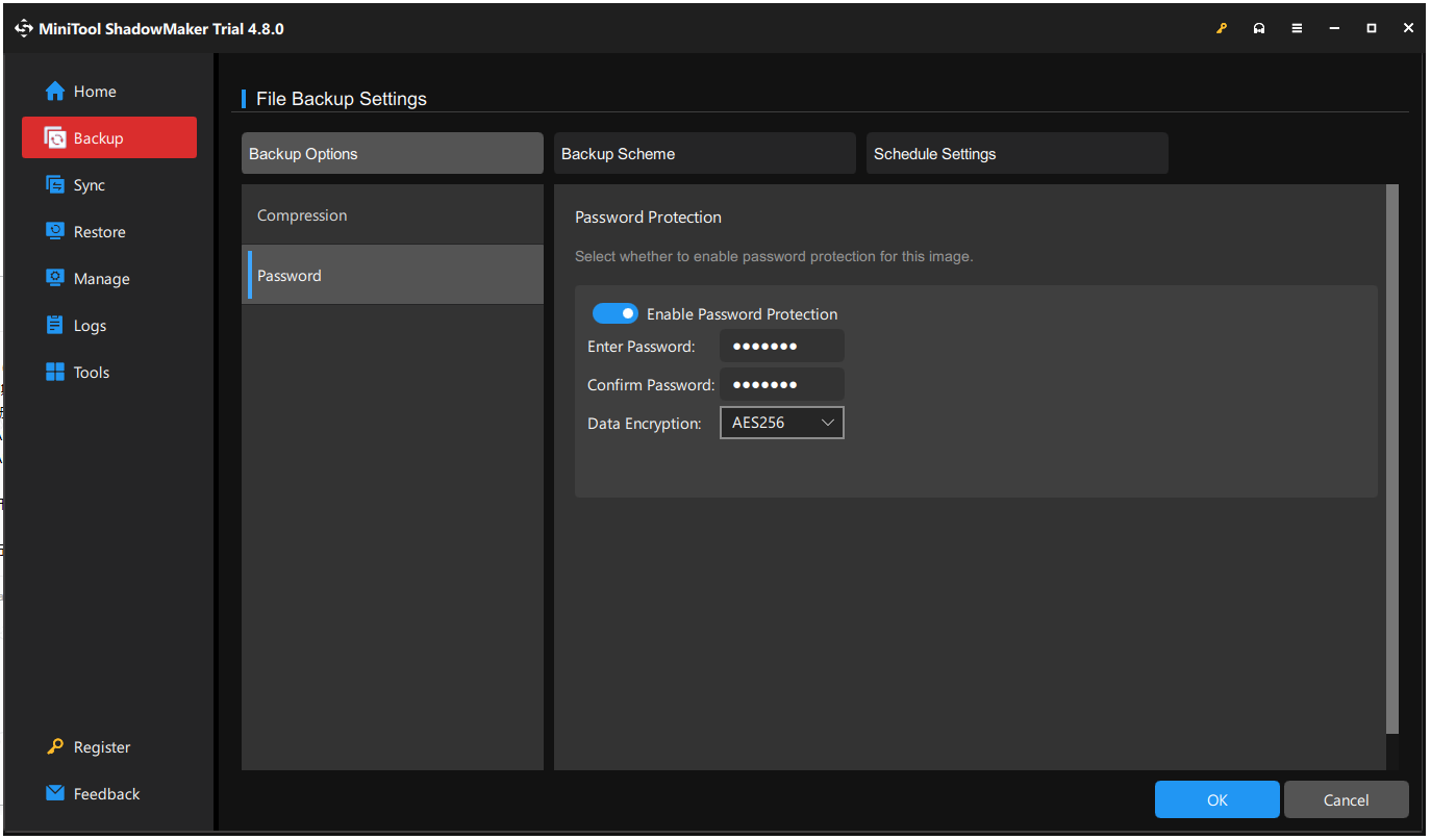 The Password options page in MiniTool ShadowMaker.