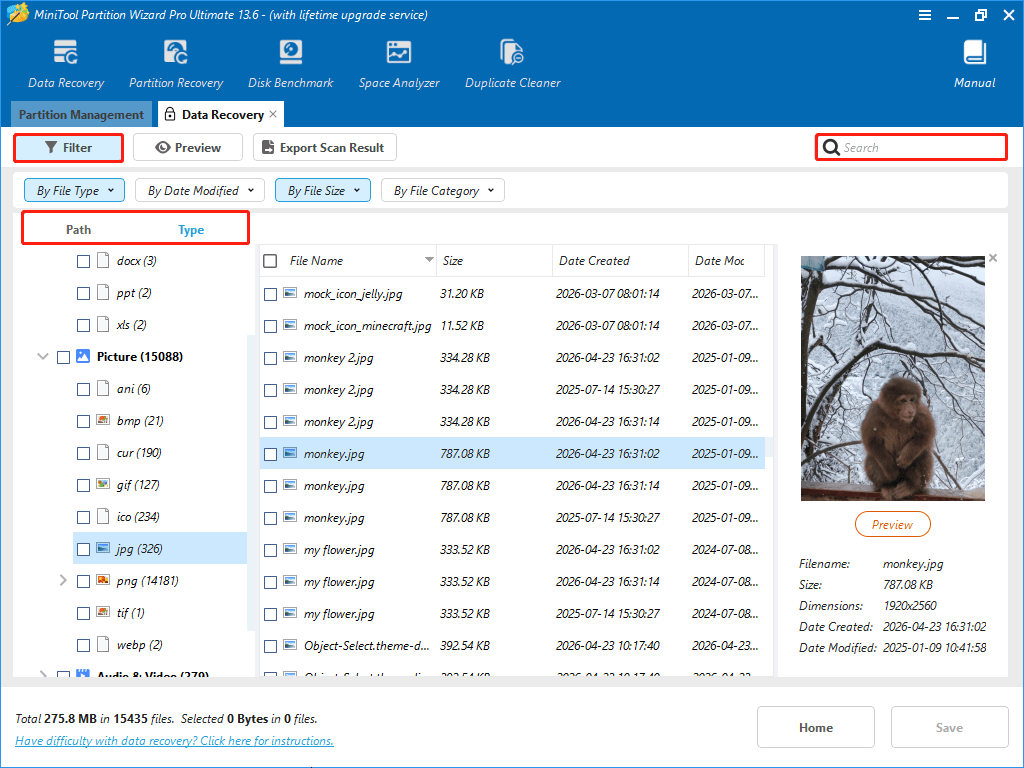 MiniTool Partition Wizard interface showing found pictures under the Type category.