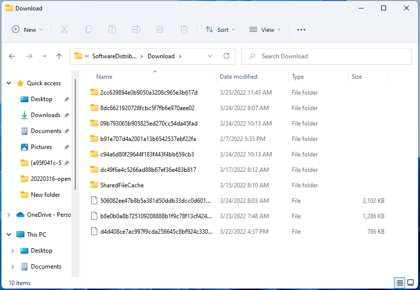 The SoftwareDistribution Download folder in File Explorer.