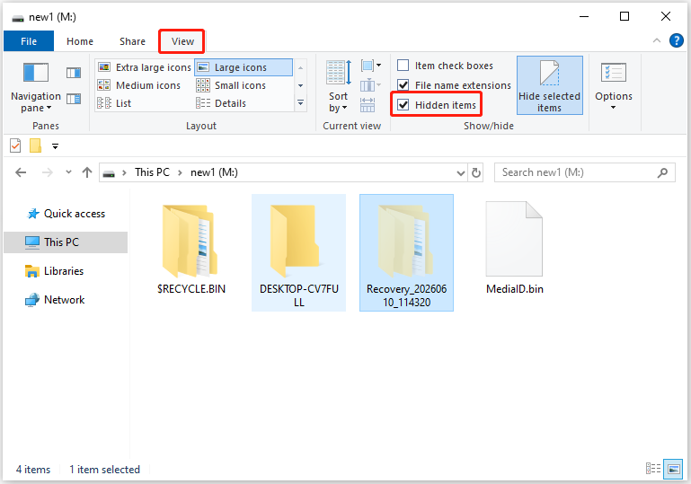 File Explorer window illustrating the View tab with the option to show hidden files enabled.