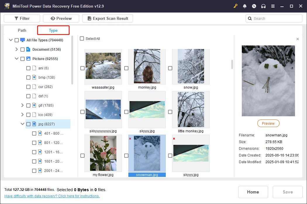 MiniTool Power Data Recovery Type tab listing files by file type and data format.
