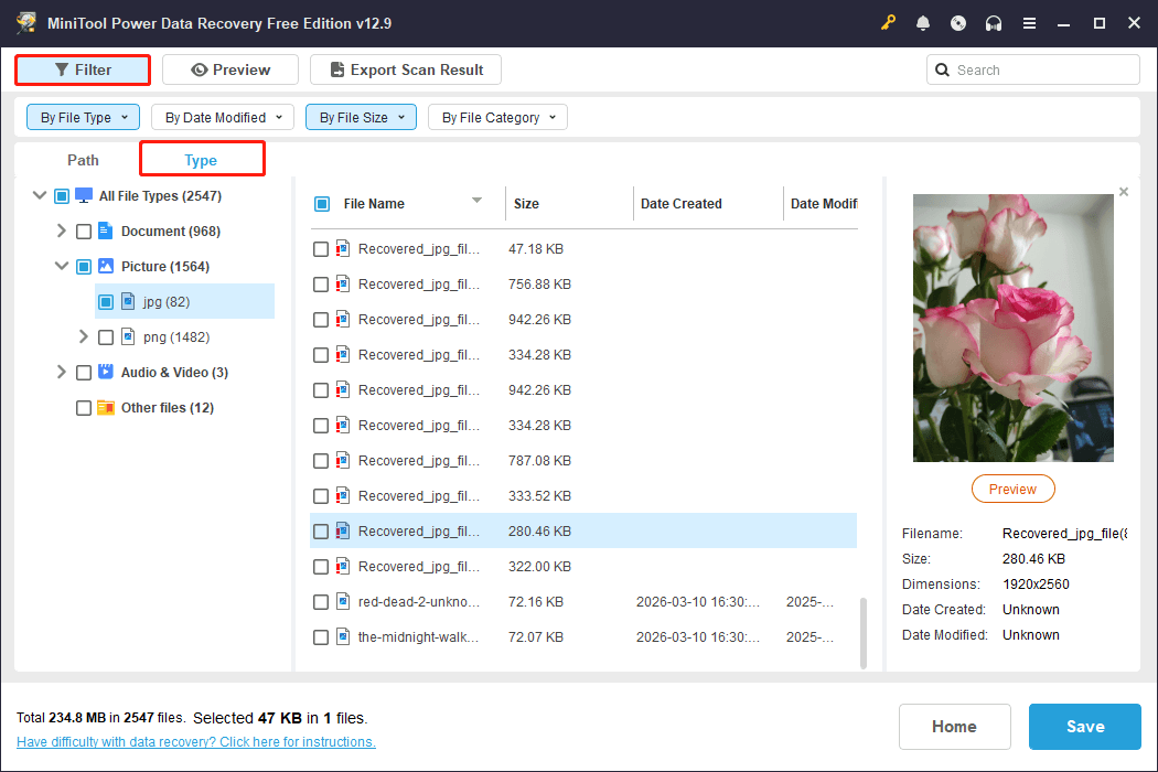MiniTool Power Data Recovery scan results page showing the Type and Filter features.