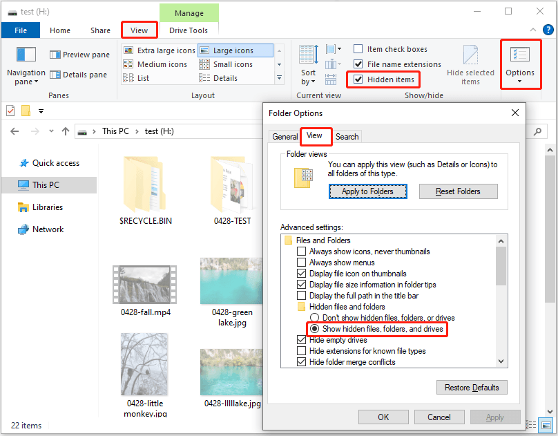 File Explorer interface showing the options to show hidden files, folders, and drives.