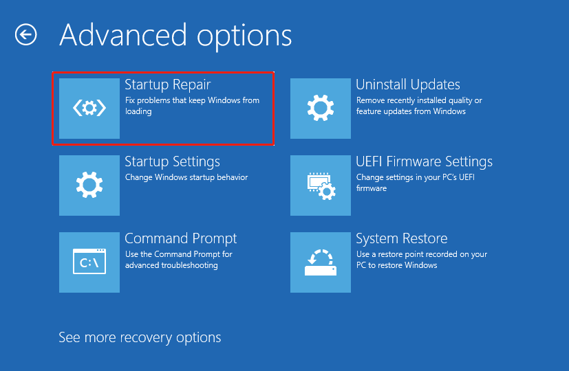 The Advanced options page in WRE with selected Startup Repair.