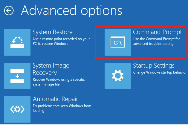 select Command Prompt