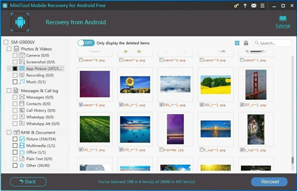 choose files you want to recover from the scan result interface