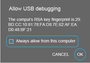 allow USB debugging