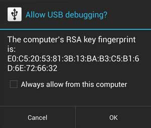 allow USB debugging