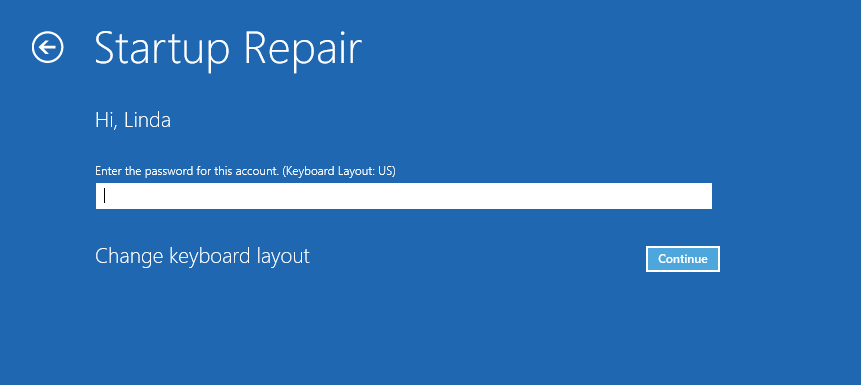 type password for startup repair