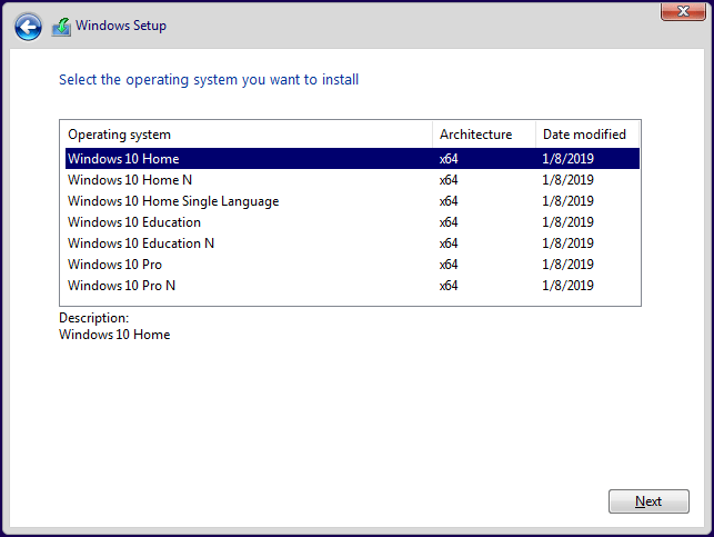 choose install a version of Windows 10