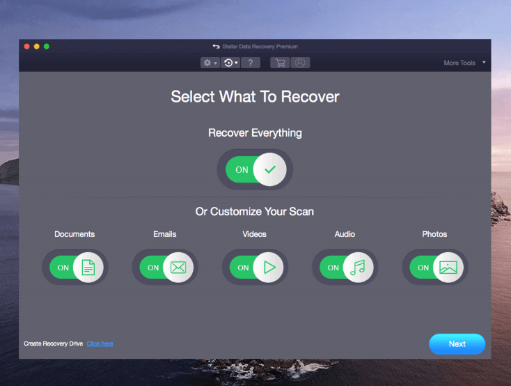 select type of data to recover