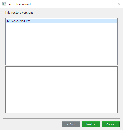 MiniTool ShadowMaker Select File Restore Version