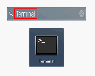 Find Terminal through Launchpad