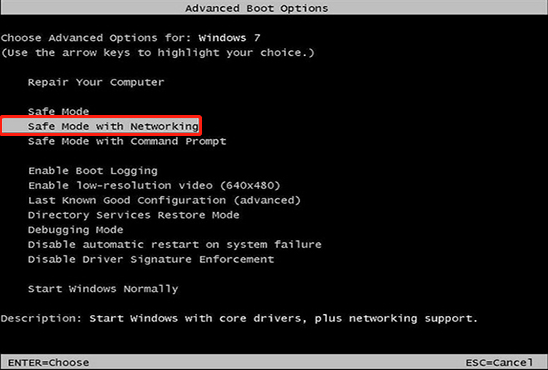 select Safe Mode with Networking