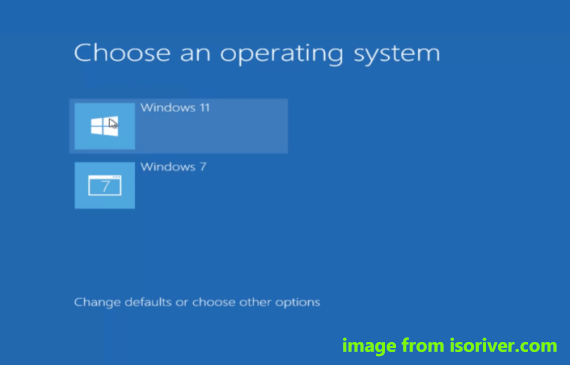 choose an operating system when dual boot