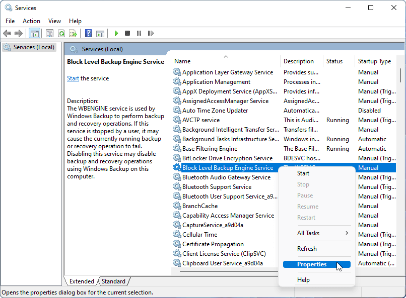 show properties of block-level backup engine service