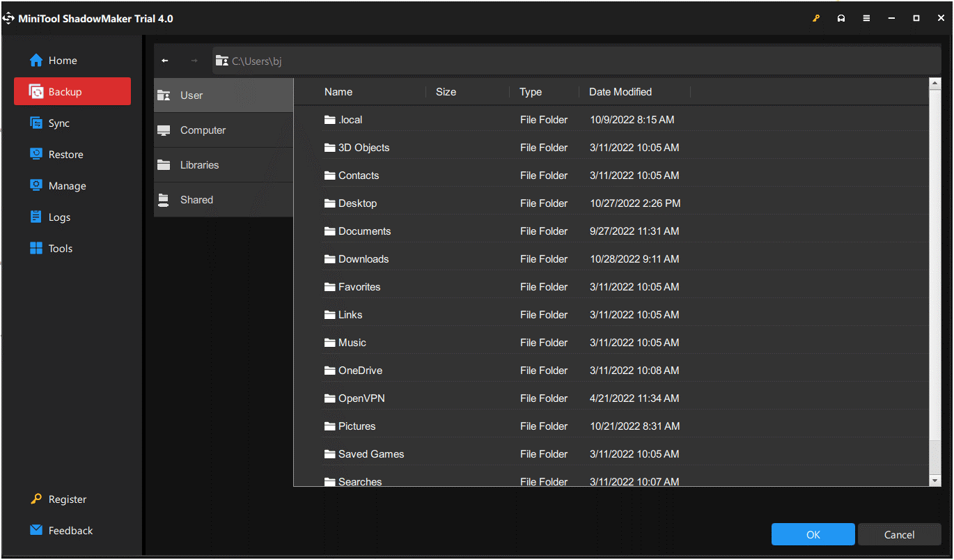 choose backup destination