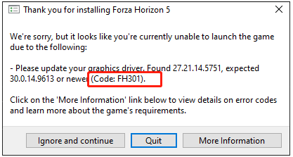 Forza Horizon 5 code FH301 message