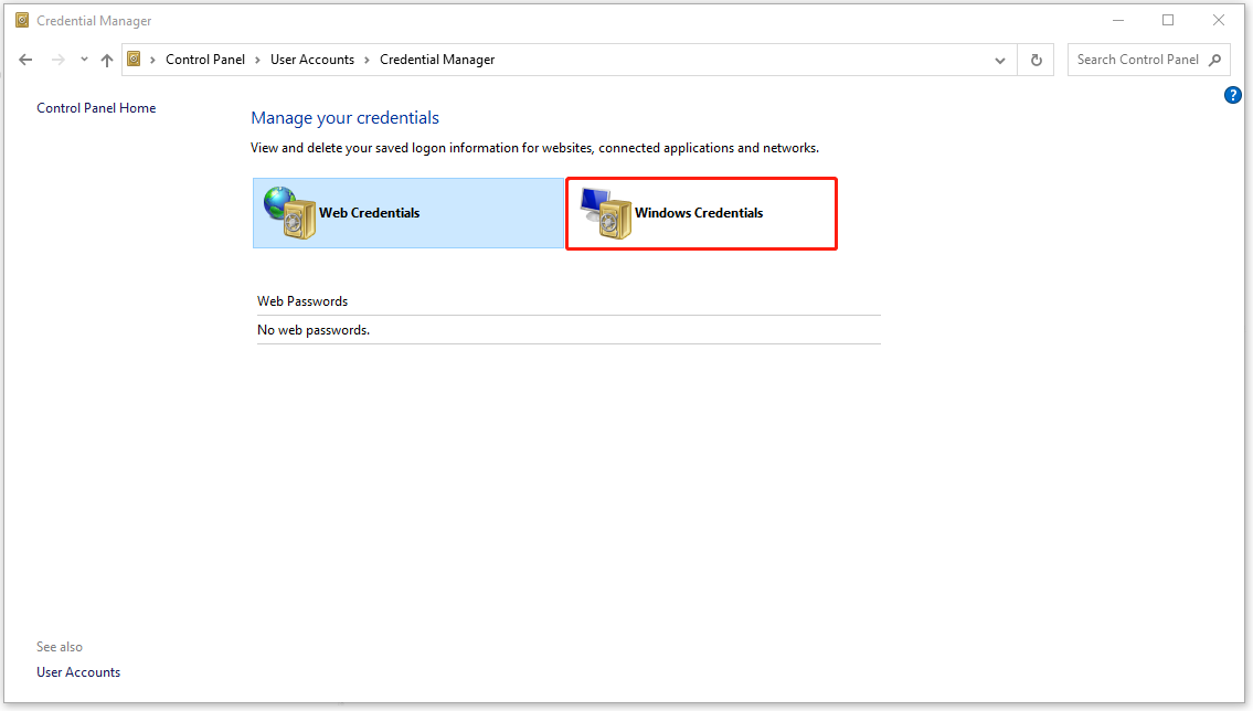 click Windows Credentials