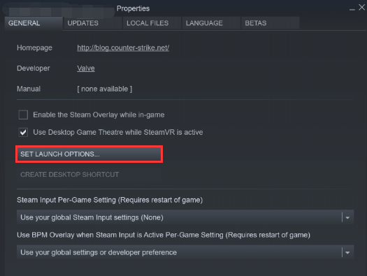 haga clic en Establecer opciones de lanzamiento Steam