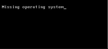 Missing operating system