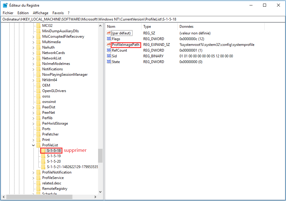 supprimer des fichiers avec ProfileImagePath