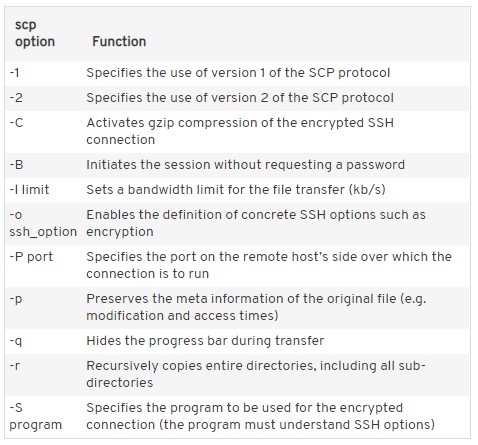 important options for SCP protocol