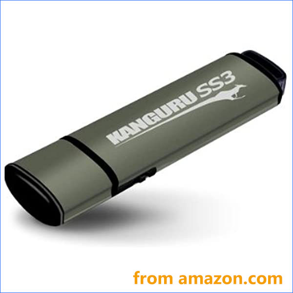 Kanguru SS3 flash drive