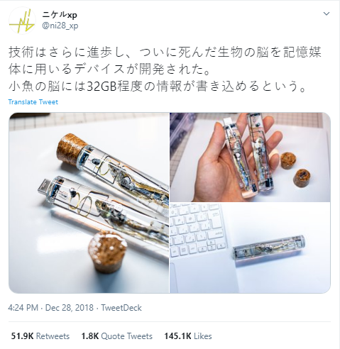 fish brain USB drive