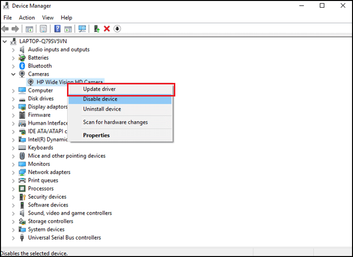 choose Update driver to update your camera driver