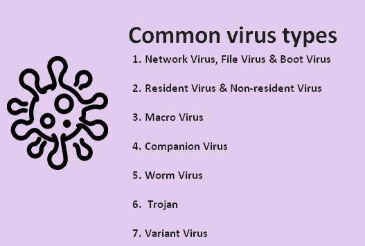 computer virus