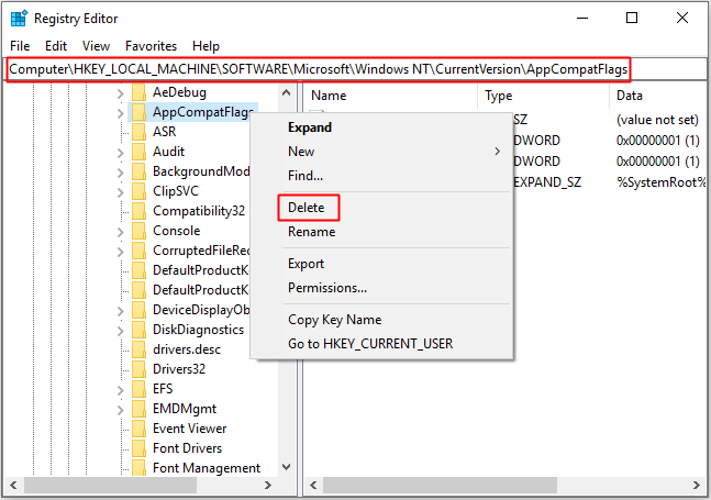 delete AppCompatFlags key