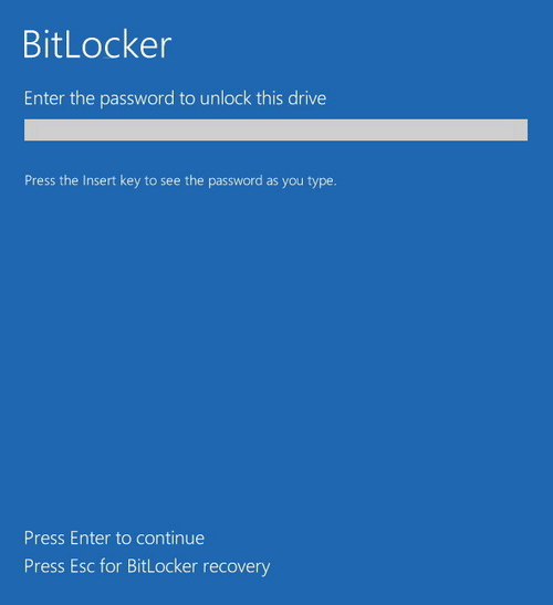 BitLocker