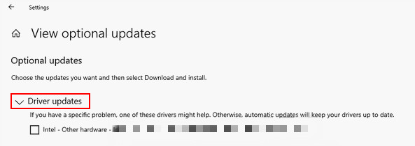View optional updates