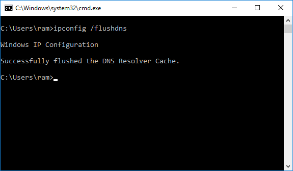 flush the DNS
