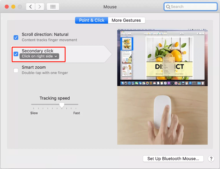 select Secondary click for mouse