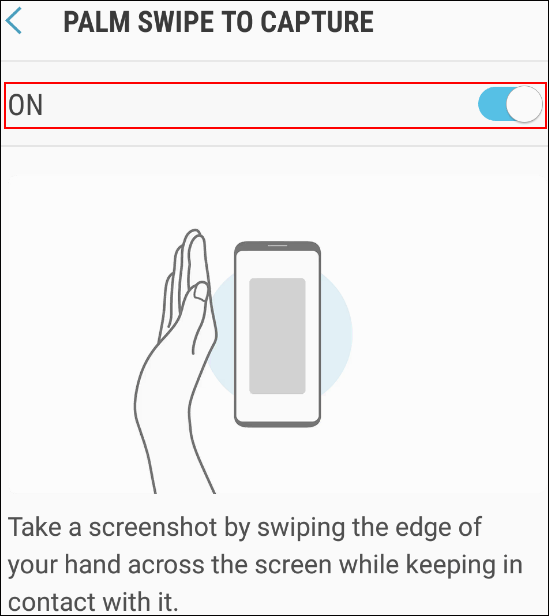 turn on PALM SWIPE TO CAPTURE