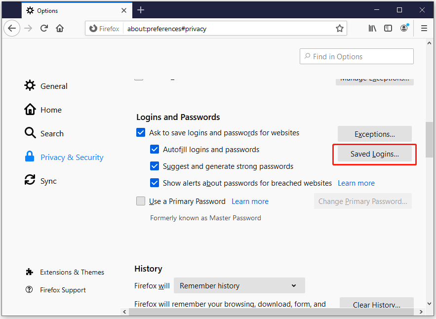 how to view saved passwords in Firefox