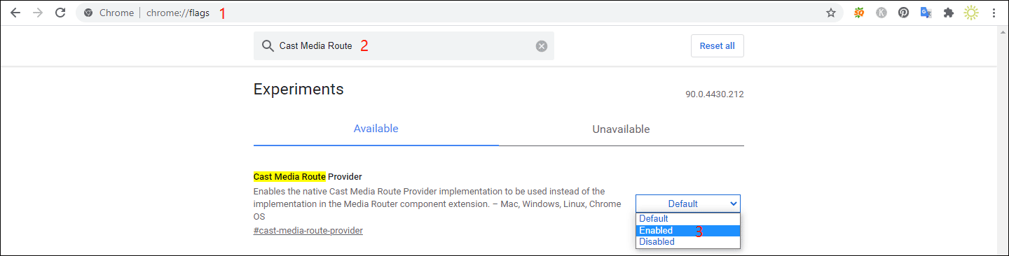 enable the Cast Media Route Provider option